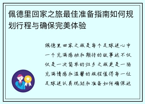佩德里回家之旅最佳准备指南如何规划行程与确保完美体验