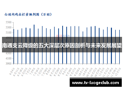 南通支云降级的五大深层次原因剖析与未来发展展望