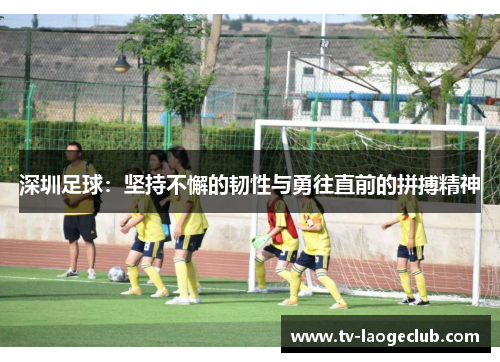 深圳足球：坚持不懈的韧性与勇往直前的拼搏精神
