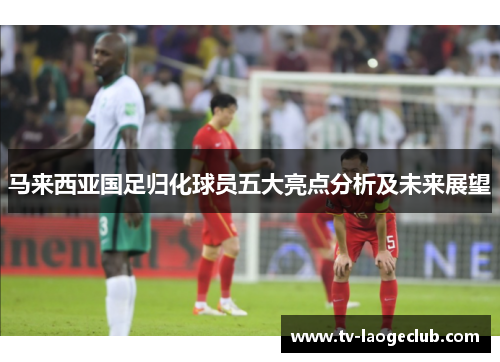 马来西亚国足归化球员五大亮点分析及未来展望