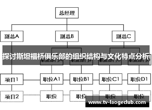 探讨斯坦福桥俱乐部的组织结构与文化特点分析